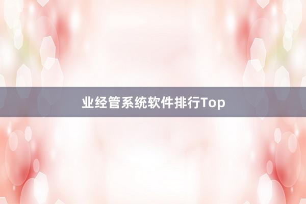 业经管系统软件排行Top